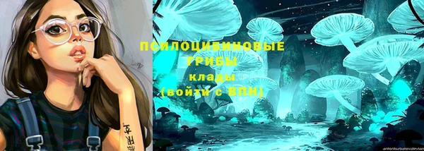 мяу мяу мука Зеленокумск