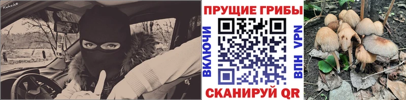 Купить  Темрюк  Псилоцибиновые грибы MAGIC MUSHROOMS 